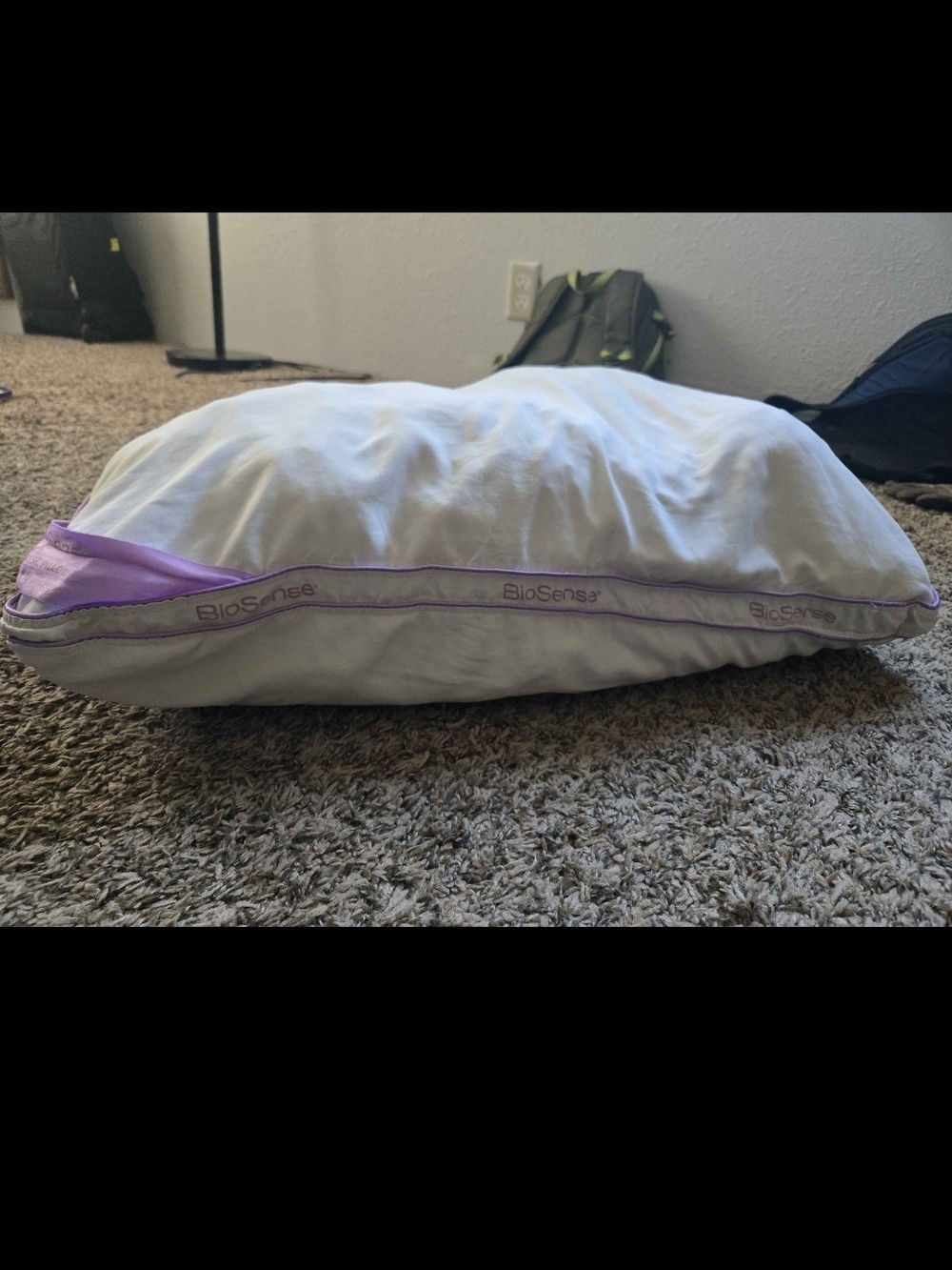 Brookstone Biosense Memory Foam Classic Pillow (Freshly Washed)
